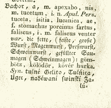 Bachor