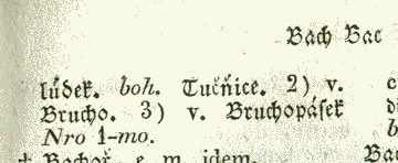 Bachor