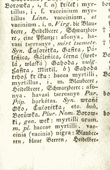 Borowka