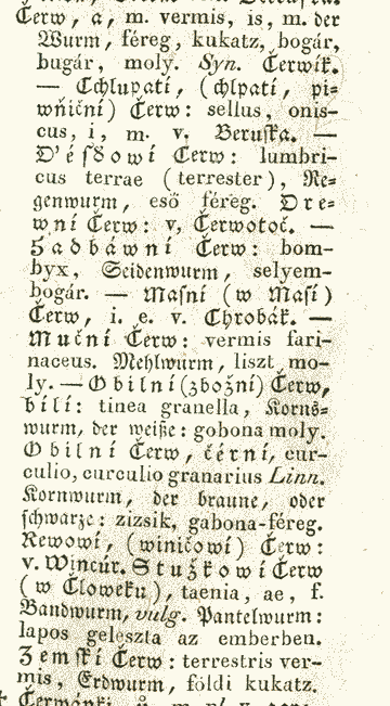 Čerw