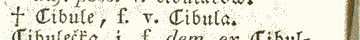 Cibule