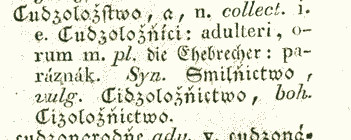 Cudzoložstwo