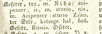 Geseter
