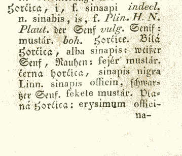 Horčica