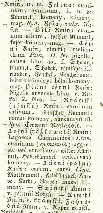 Kmín