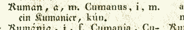 Kuman