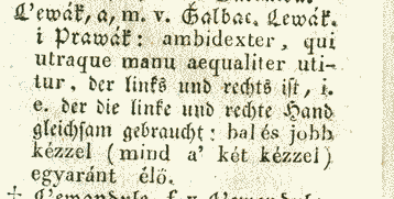 L&#x27;ewák