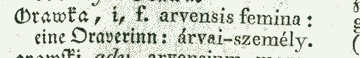 Orawka