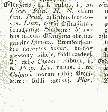 Ostružina