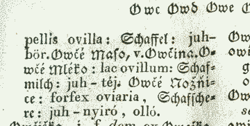 owčí
