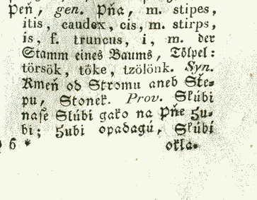 Peň