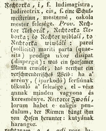 Rechtorka