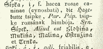 Šípka