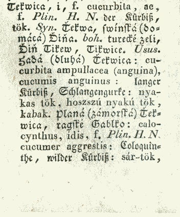 Tekwica